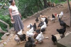 Desarrollo Rural